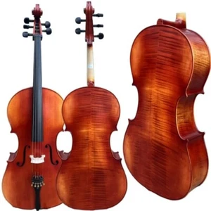 Raro Profesional Canción Maestro 5 Cuerdas Violonchelo 4/4, Stradivarius Modelo #15288 - Imagen 1 de 10