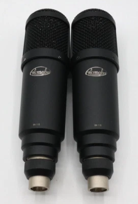 PAR AEG/Oktava MK-119 con modificación de tubo exclusivo de Microphone Boutique Foto 1 de 3