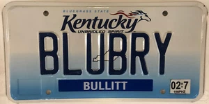 Vanity BLUEBERRY license plate Blue Fruit Farmer Food Pie Jam Farm Agriculture - Picture 1 of 12