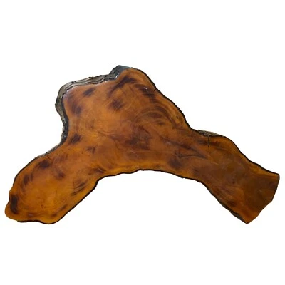 Mesa de losa de madera Live Edge 22" acabado epoxi rústico decoración con acento natural Foto 1 de 4