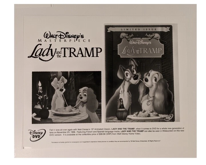 Lady and the Tramp - Foto promocional de imprensa - 8x10 - P&B - Disney - Imagem 1 de 1
