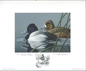 1989 Federal Duck Stamp RW56 Lesser Scaup Print by Neil Anderson EXECUTIVE ED - Picture 1 of 2