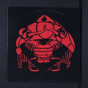 HAYVANLAR ALEMI: yekermo sew / cakal caz SUBLIME FREQUENCIES 7" Single 45 RPM - Picture 1 of 4