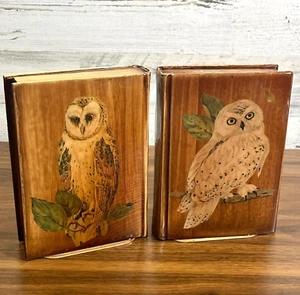 Sujetalibros vintage grandes búhos nevados búho granero hecho a mano de madera Shellac 8"x6" - Imagen 1 de 11