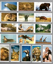 CIGARETTE/TRADE/CARDS.Comet Sweets.ON SAFARI 1st & 2nd Series(1961).2 Sets of 25