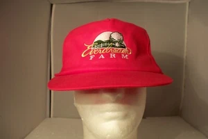 Vintage Everdream Ever Dream Farm Red Snapback Hat - Picture 1 of 7