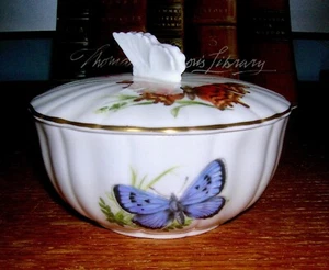 Royal Worcester Butterfies Butterfly Round Trinket Box Gold trim - Picture 1 of 6