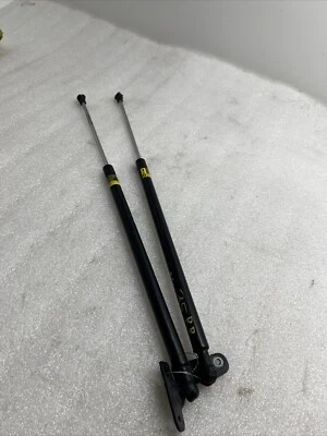 2012 Toyota Prius V Rear Trunk Hatch Tailgate Strut Shock Pair Left Right OEM Foto 1 de 4