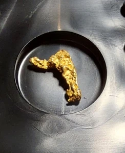 Gold, gediegen xx als Sammlerprobe vom Kaareoja Fluss Lappland Finnland - Bild 1 von 2