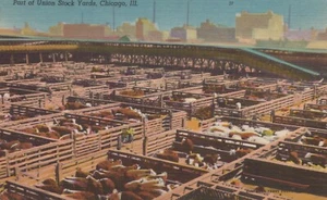 Parte dei cantieri stock - Chicago, Illinois - lino non affrancato - Foto 1 di 3