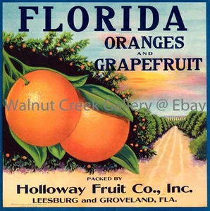 Florida Kiste Etikett Kunstdruck, Grove, ca. 10,8" x 10,9" 13238 - Bild 1 von 1
