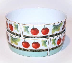 Mikasa Fruit Odyssey Bowls Set of 2 Cereal Fine China Grapes Cherries Portugal - Picture 1 of 4