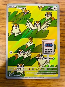 NEAR MINT! Pidgey (207/197) Obsidian Flames Illustration Rare Pokemon Card! - Picture 1 of 4