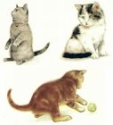 Kot Kotek Pomarańczowy Czarny Biały Szary Wybierz rozmiar A Zjeżdżalnia Ceramiczne naklejki Xx