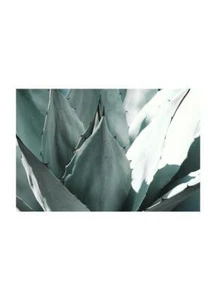 Poster Sukkulente Druck Einrichtung Schlafzimmer Wand Druck Poster Blätter Natur - Bild 1 von 17