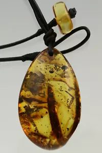 Fossil GNAT & MIDGE Genuine BALTIC AMBER Pendant Leather String 11.5g 190306-3 - Picture 1 of 4