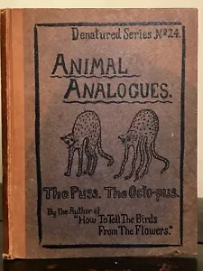 1908 - ANIMAL ANALOGUES: THE PUSS & THE OCTO-PUS; Whimsical Children's Rhymes - Imagen 1 de 11