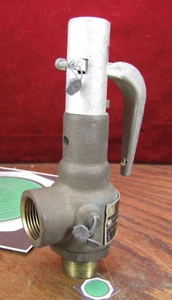 Conbraco 19-301 3/4" NPT Bronze Pressure Relief Valve, 140 PSI, Steam/Air, - Picture 1 of 5