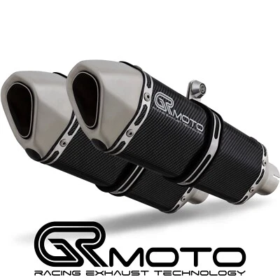 Escape para CAGIVA RAPTOR 1000 2000 - 2005 GRmoto Silenciador Carbono Foto 1 de 3