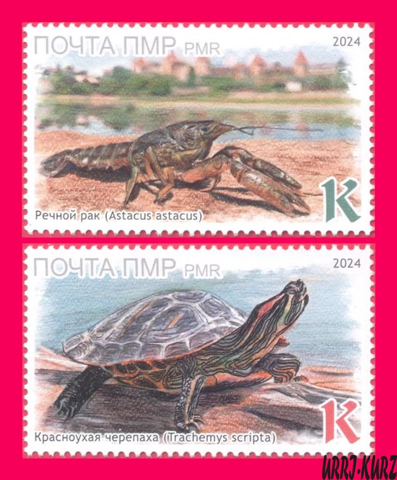 TRANSNISTRIA 2024 Europa CEPT Fauna Water Animals Amphibians Сrayfish Turtle 2v - Image 1 of 1