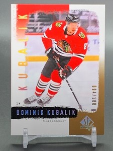 2020-21 SP Authentic Retro #R75 DOMINIK KUBALIK Chicago Blackhawks #/100