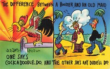 Postcard Humor the Difference Between A Rooster And An Old Man Comic Linen
