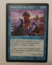 1x FLOODED SHORELINE mtg sp Visions Rare x1