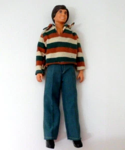 ACTION FIGURE VINTAGE 1978 KENNER HARDY BOYS FRANK/PARKER STEVENSON 12" - Foto 1 di 3
