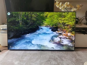 Grundig 65 gob 9990 fine Arts oled - Bild 1 von 9