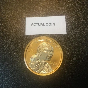 2003 P Sacagawea Platinum & Gold Highlighted $1 Coin - Picture 1 of 3