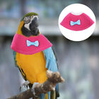 Parrot Collar -biting Bird Neckwear for Birds