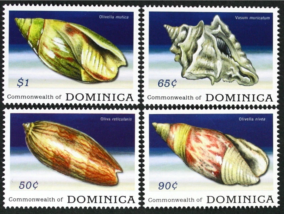 DOMINCA 2009 set of 4 Sea Shells Mint NH (Lot#B135) - Image 1 of 1
