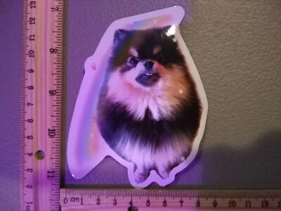 РАСПРОДАЖА! Милый щенок собака померанский веган радуга домашних животных виниловая наклейка стикер автомобиль грузовик - Изображение 1 из 4