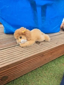 Steiff 'Leo' Lion - classic plush cub soft toy - 22cm - 280092 Lion Toy - Picture 1 of 6