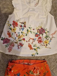 Baby Girl's NEXT Pretty Top & Leggings OUTFIT - 3-6 MONTHS - Floral Hummingbirds - Picture 1 of 3