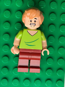 Lego Scooby Doo Shaggy Rogers Minifigure scd001 Closed Mouth 75900 75901 71206