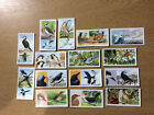 PRIORY TEA I-SPY BIRDS 1962  *PICK THE CARDS YOU NEED*