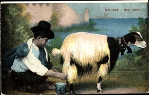 MILK SELLER, Malta, Man Milking a Goat, Folk Costume Postally Unused, Near Mint - Bild 1 von 2