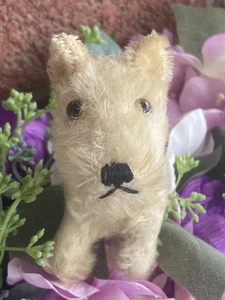 Steiff weißer Scotty Hund Mohair 6" Scottish Terrier 50er Jahre mit US Zone Germany Etikett! - Bild 1 von 14