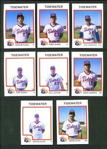 1987 ProCards Tidewater TIDES #2494 JOSE ROMAN Puerto Plata DOMINICAN REPUBLIC