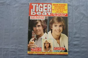 1977 AUG TIGER BEAT MAGAZINE - SHAUN CASSIDY & PARKER STEVENSON COVER - ST 1007F - Picture 1 of 2