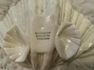 WEDGWOOD BARLASTON NAUTILUS BONE CHINA CLAM SHELL BOWL Creamware Drabware UK - Picture 1 of 9