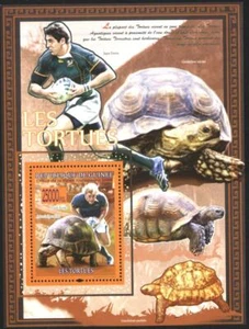 Mint S/S Fauna Turtles Sport Rugby 2008 from Guinea avdpz - Picture 1 of 1
