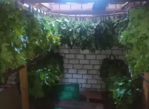 Set 12 pezzi frusta sauna canadese rovere 2024 Banya Venik scopa naturale per bagno - Foto 1 di 8