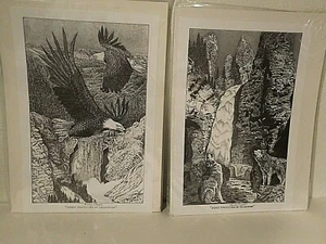 Feder- und Tintendrucke aus dem Yellowstone Park von Blackfoot Charles Bullshield Jr. - Bild 1 von 12