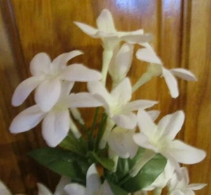 New! Premium Silk Flower 27" Long Stem Stephanotis, Garden Accents, Wedding - Bild 1 von 4