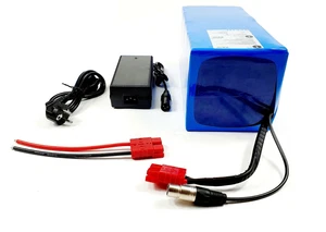 48V 40AH Li-ion Akku Pedelec e bike e-bike Akku Akkupack Roller Scooter Boot - Bild 1 von 9
