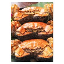 "Krabben" WAND POSTER/Drucke (pp073604)