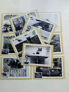 10 FIRST DAY COVER CARDS 2001 PHQ228 CATS AND DOGS;PETTS WOOD POSTMARK - Picture 1 of 6