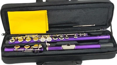 Eastar Flöte Flöte, 16 Geschlossene Löcher, C-Tasten, Instrument, Vernickeltes K - Bild 1 von 3